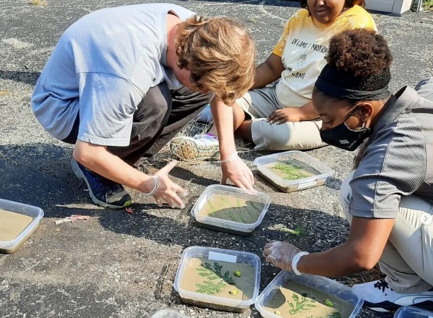 High school students crouch outside on asphalt, bending over little trays holding carefully arranged leaves.